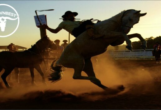 The Complete Guide to the Houston Livestock Show & Rodeo