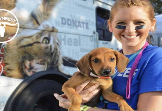 How-to Guide Volunteering at an Animal Shelter in Houston