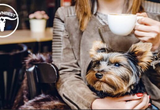 The 5 Best Houston Brunch Spots for You and Your Furry Friend