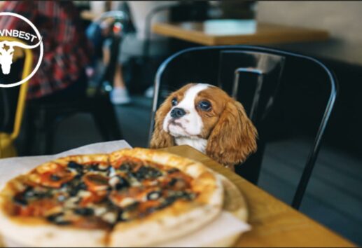 The Top 5 Dog-Friendly Restaurants in Memorial City