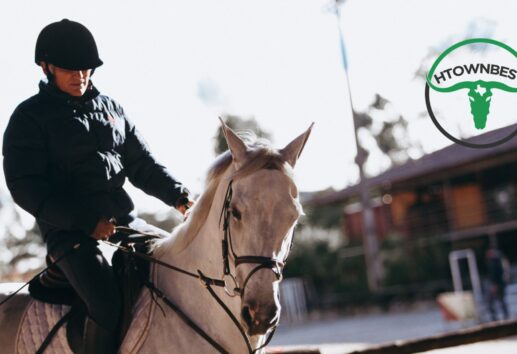 The Best 5 Horseback Riding In Houston