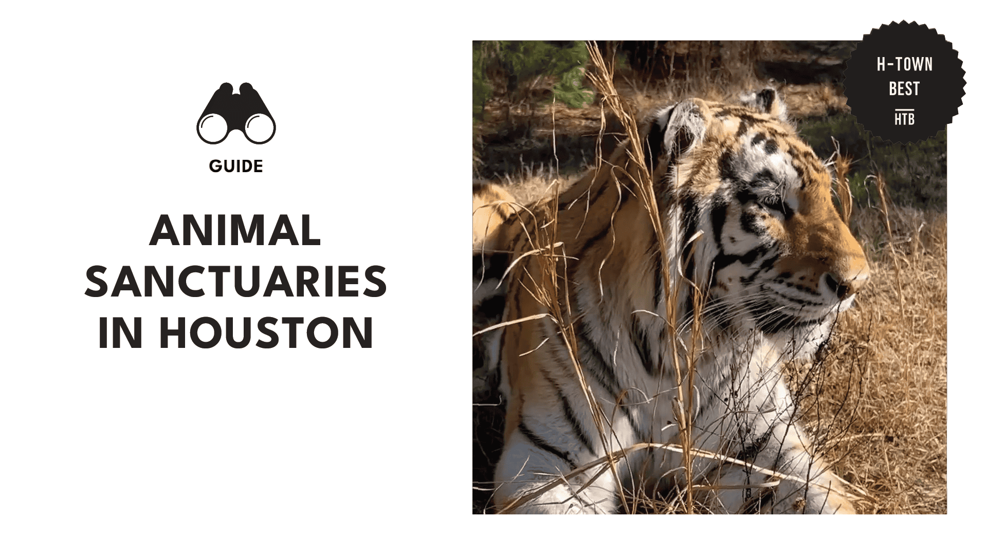 animal-sanctuary-houston