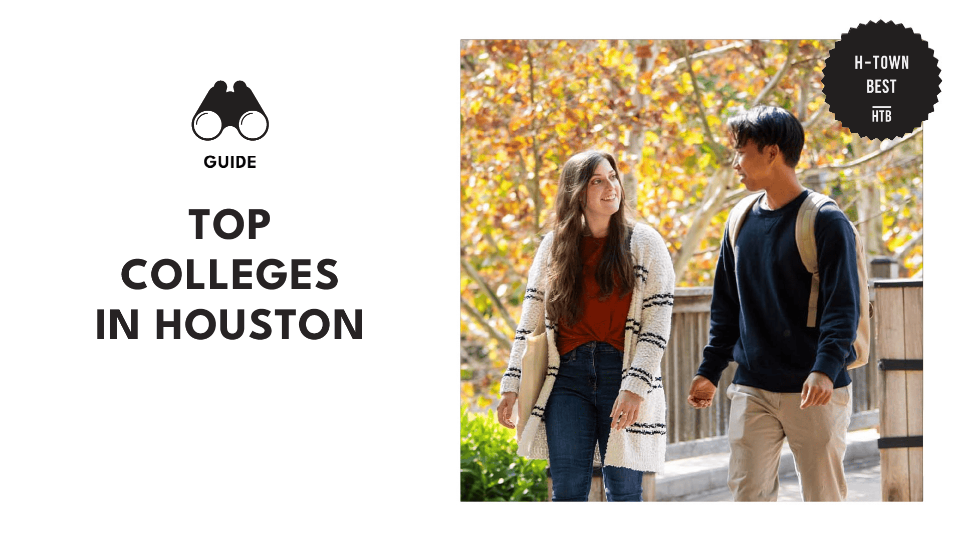 colleges-houston