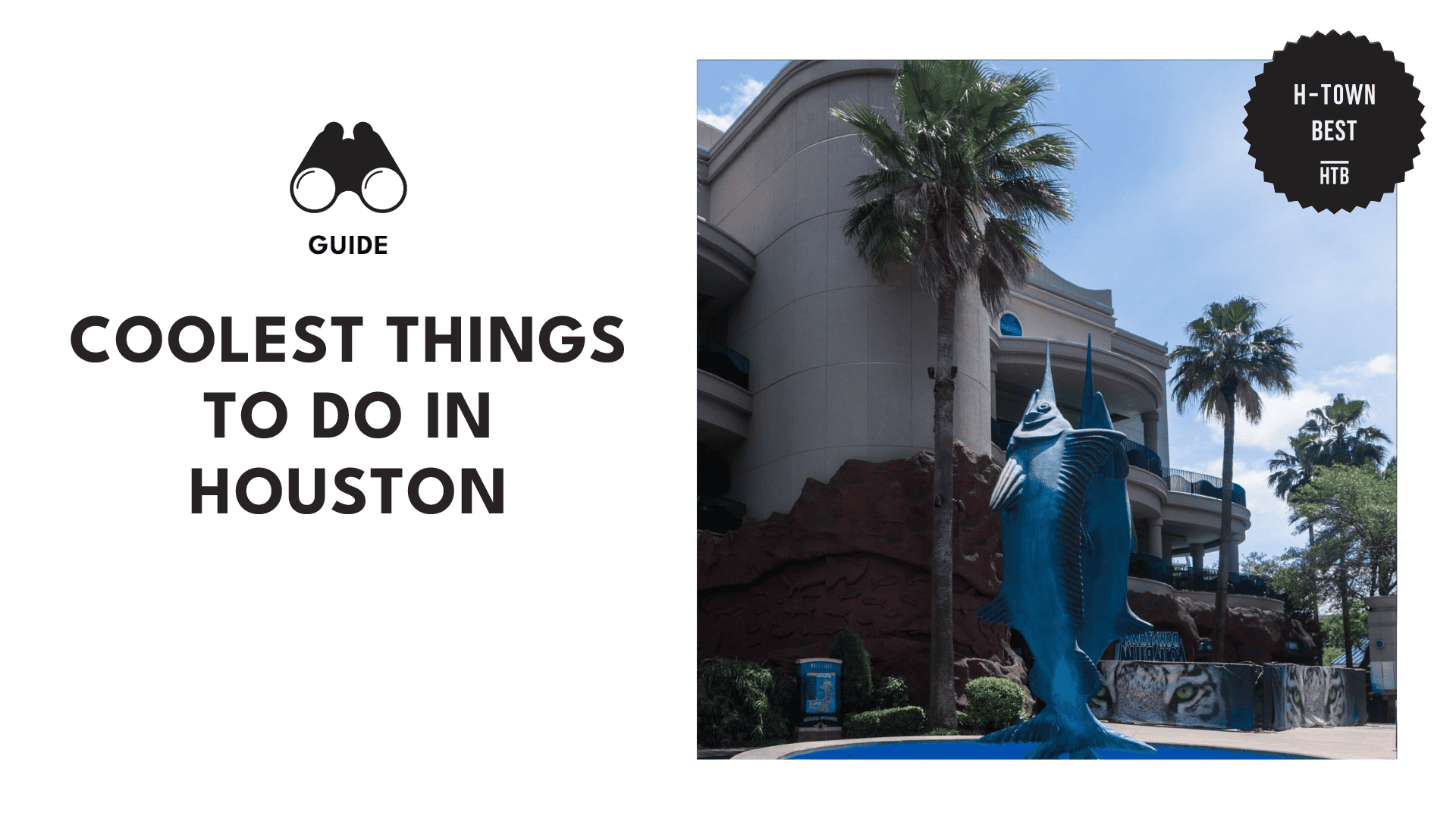 cool things to do houston